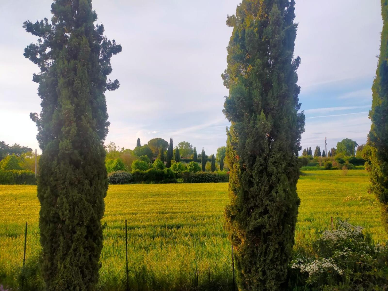 Villetta Con Parco Vicino San Gimignano Colle Val D'Elsa Exteriör bild